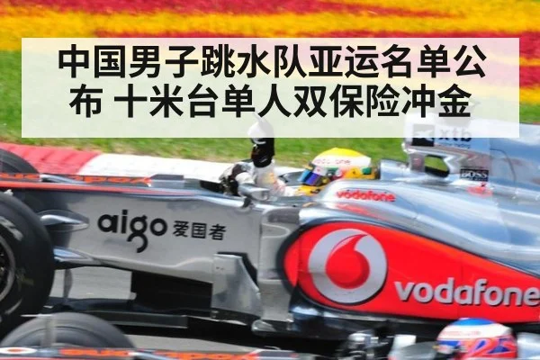 中国男子跳水队亚运名单公布 十米台单人双保险冲金